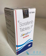 �ױ�������������Ƭ˵����