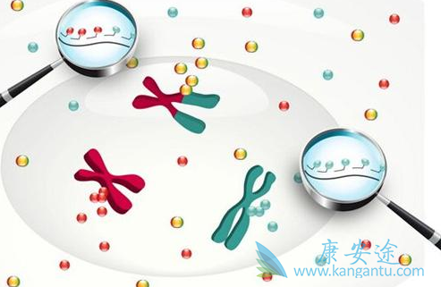 靶向治疗 靶向治疗