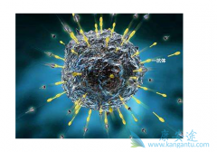 ֫���ͺ�ɫ�������Ĥ�ͺ�ɫ�������������أ�