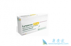 PARP���Ƽ����������¸�������Ч��