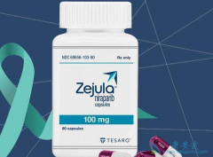 ��������(Niraparib)�����������ѳ�����ҩ��