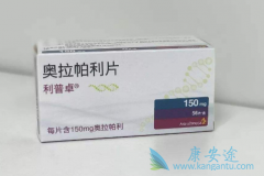 ����׿/����������PARP���Ƽ��д�����ͷ��λ��