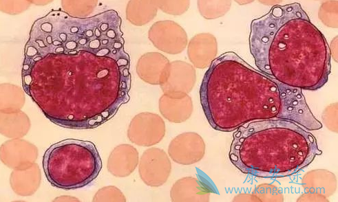 ������ܰ���