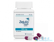 ������/Niraparib���������ѳ���