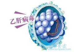 TDF是一种用于治疗成人慢性乙型肝炎的药物