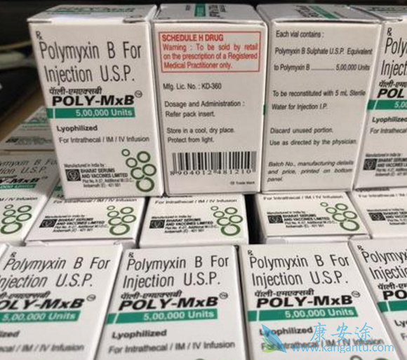 ע���������ճ����B