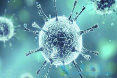 �¹ڲ�����ÿһ������ָ�϶��ᵽ��������Τ