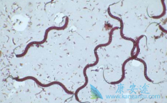 ˹��/�����򰷲�������͡��ҩ����ʹ��