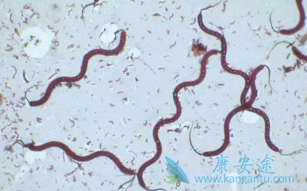 利奈唑胺 利奈唑胺