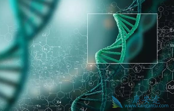 ���͹�״����