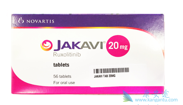 ³������˵����