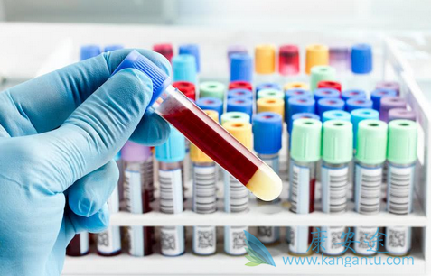 地夫可特 地夫可特