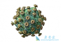 ������Τ��(DTG)�ķ��÷����������ģ�