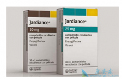 �����о���SGLT2���Ƽ����Ը�������΢Ѫ����