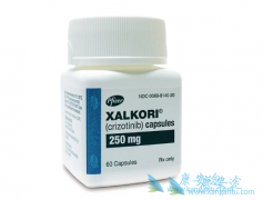 ALK���Ƽ���ɯ����Ϳ�����������ĸ�Ч����