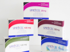 ��ɳ�����������CAR-T�Ʒ������ϸ�������ۺ���