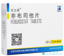 �ǲ���̹/�ǲ�˾�����Ը��������