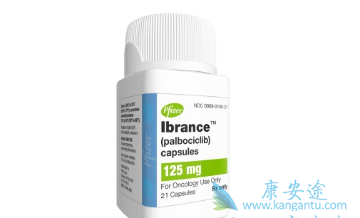 哌柏西利 哌柏西利