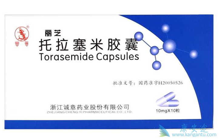 托拉塞米说明书 托拉塞米说明书