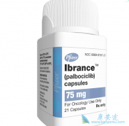 Palbociclib/IBRANCE