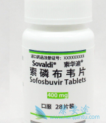 索非布韦加利巴韦林的抗病毒活性