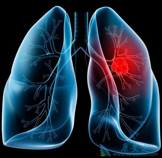 ���������ȼ�����������ӳ��޽�չ�����ڵ�����