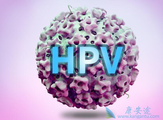 hpv������Ⱦ�������ѡ��hpv�����Ͳ�Ʒ��