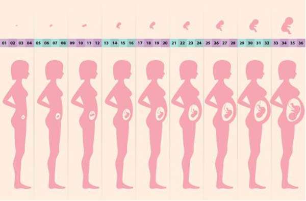 先定它一个小目标：给孩子“预存”一个抗癌基因？