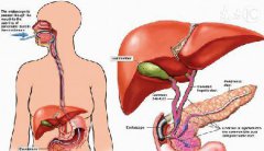 ���͸�������𺦸���