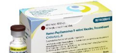 研究表明HPV病毒与口咽癌有很大关系
